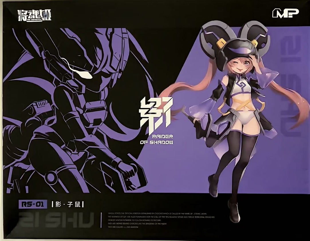 MS GENERAL Raider of Shadow RS - Model Kit Ms General avis et prix