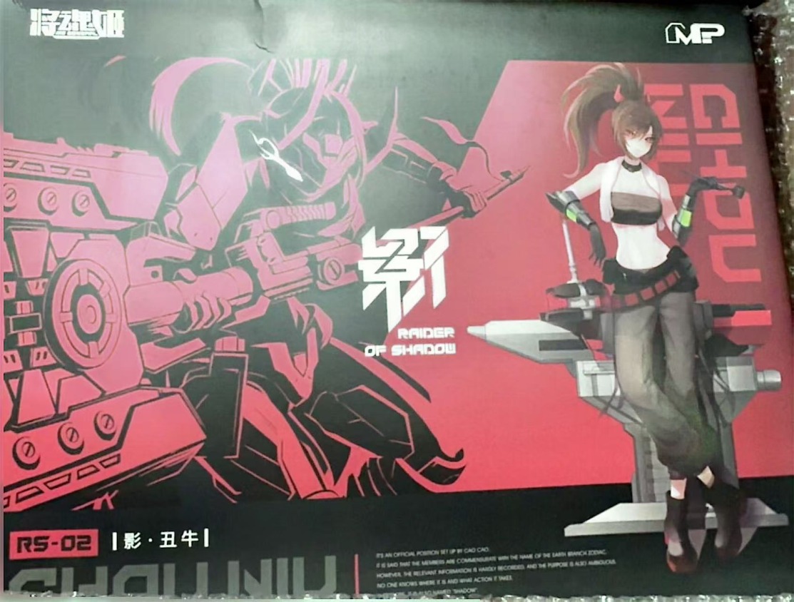 MS GENERAL Raider of Shadow RS - Model Kit Ms General avis et prix