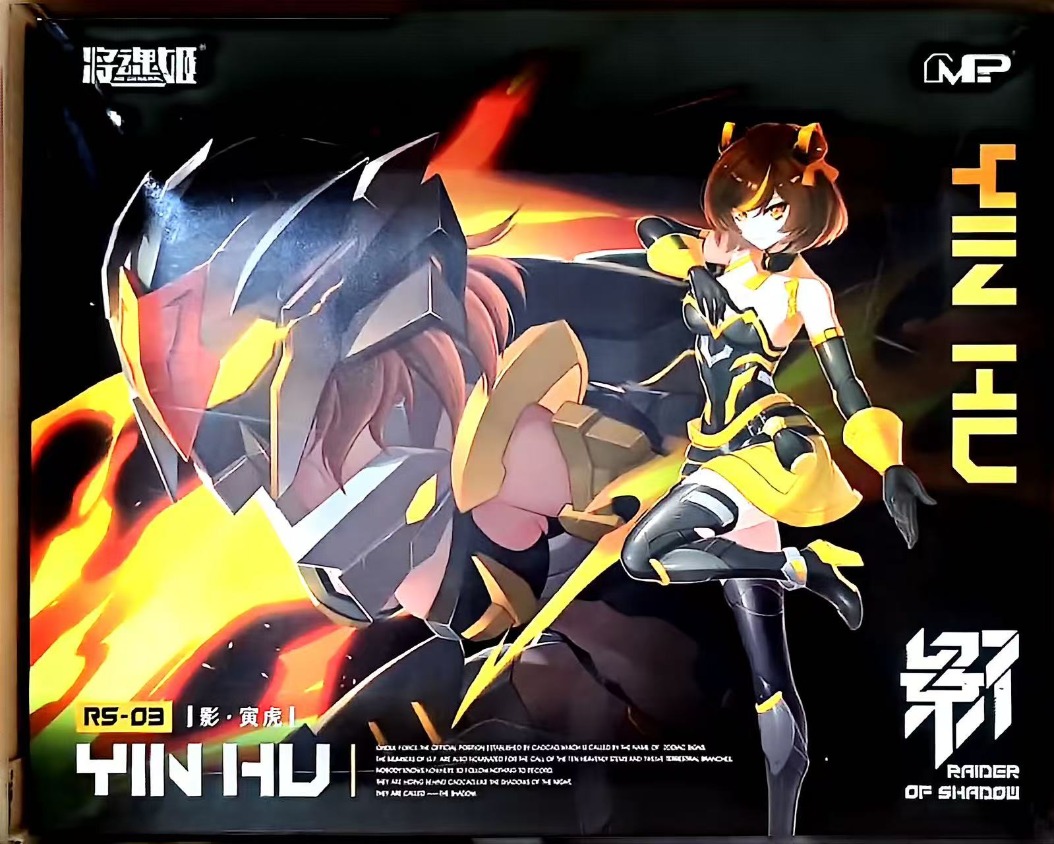 MS GENERAL Raider of Shadow RS - Model Kit Ms General avis et prix