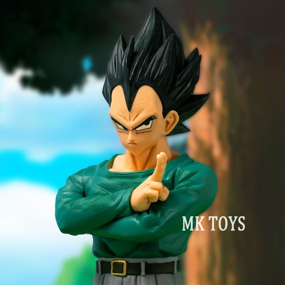 Figurine Dragon Ball Z de 25cm - Model Kit Vegeta avis et prix