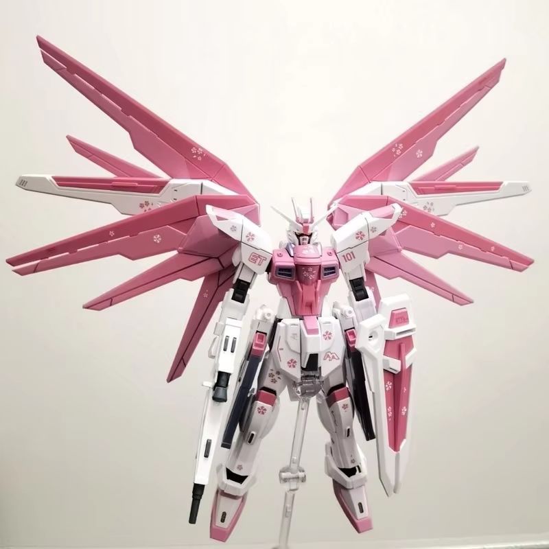 JMS HG 1/144 ZY-06 Freedom Ass - Model Kit Medabots avis et prix