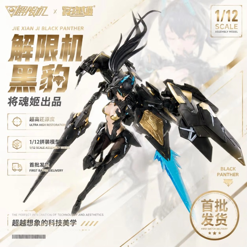 MS GENERAL Mecha Break Black P - Model Kit Ms General avis et prix